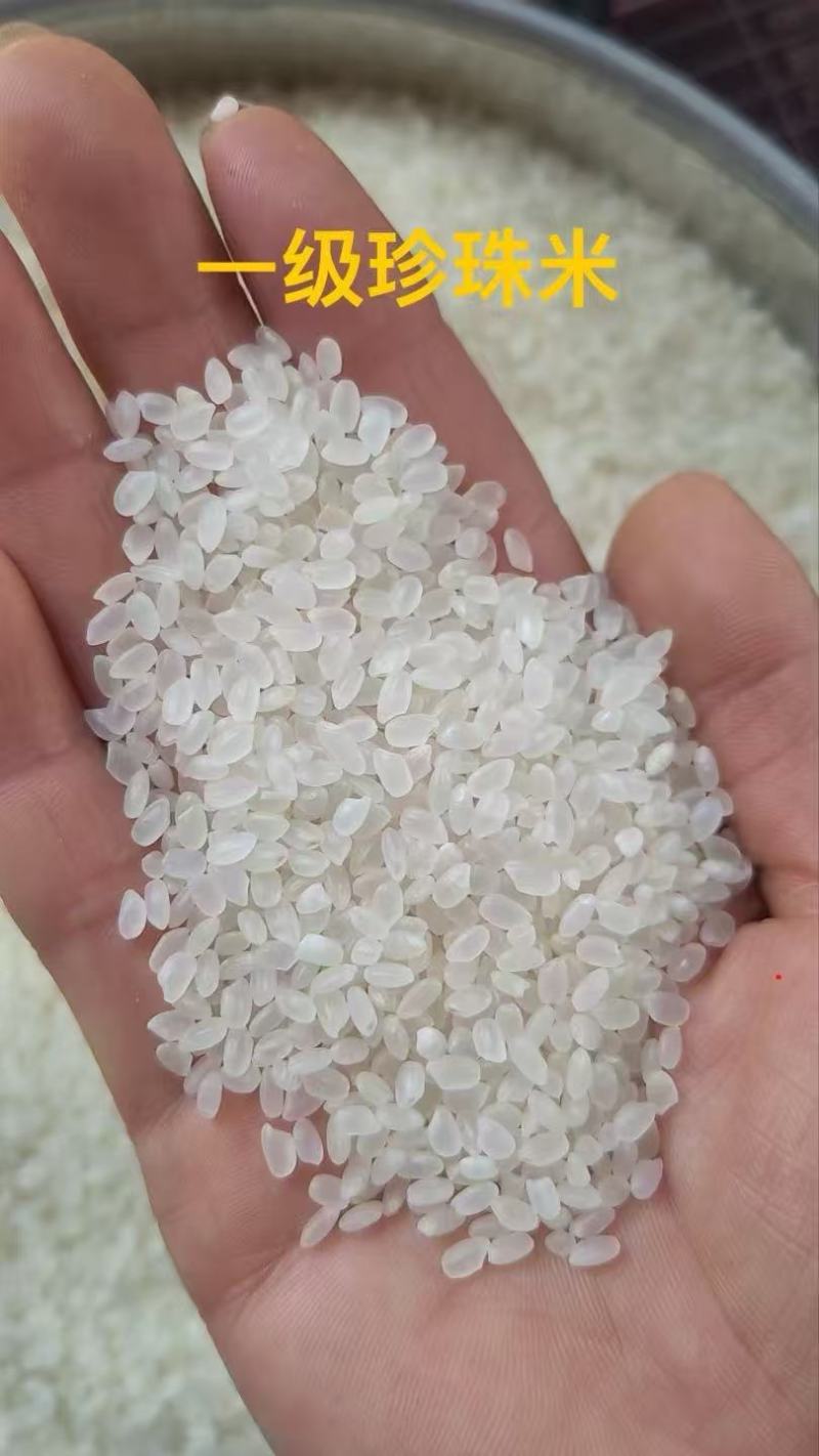 精品一级大米，珍珠米一手货源充足供应，诚信经营，量大从优