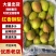 红香酥梨赵县梨产地直发品质保障量大优惠视频看货