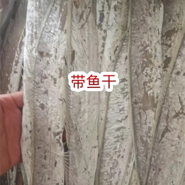 带鱼干地摊电商批发带鱼干干带鱼鱼干干鱼