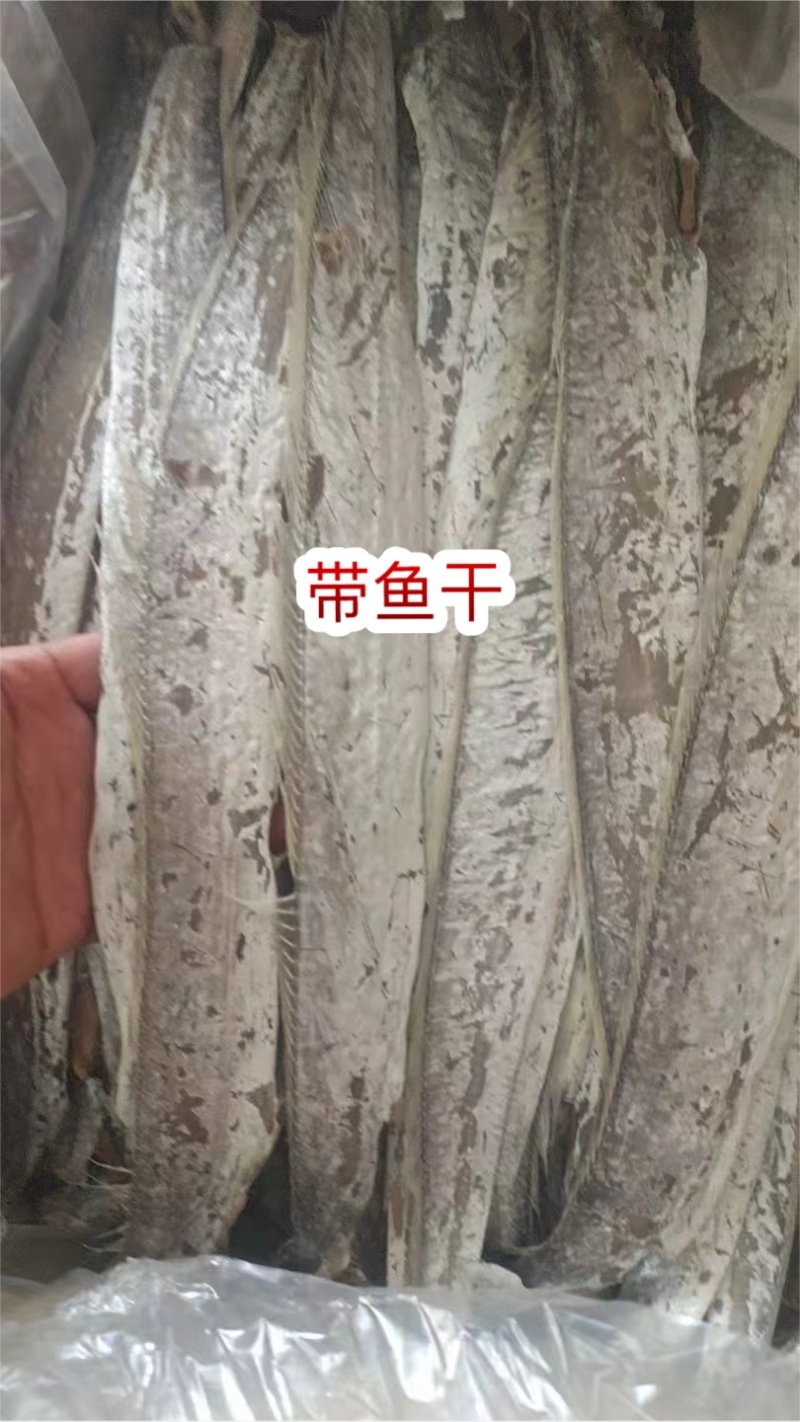带鱼干地摊电商批发带鱼干干带鱼鱼干干鱼
