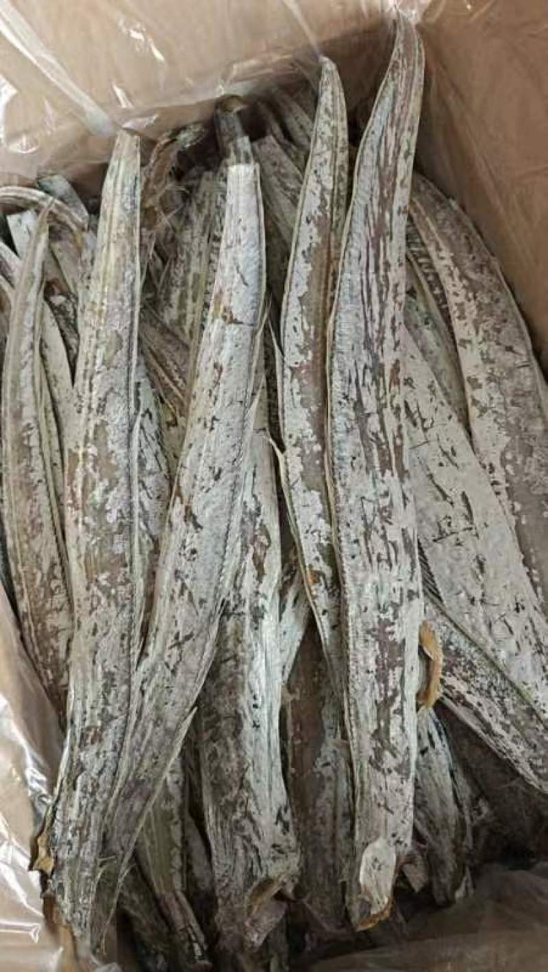 带鱼干地摊电商批发带鱼干干带鱼鱼干干鱼