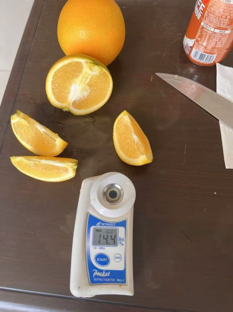 精品脐橙橙子大量上市价格可商京东生鲜快递包邮
