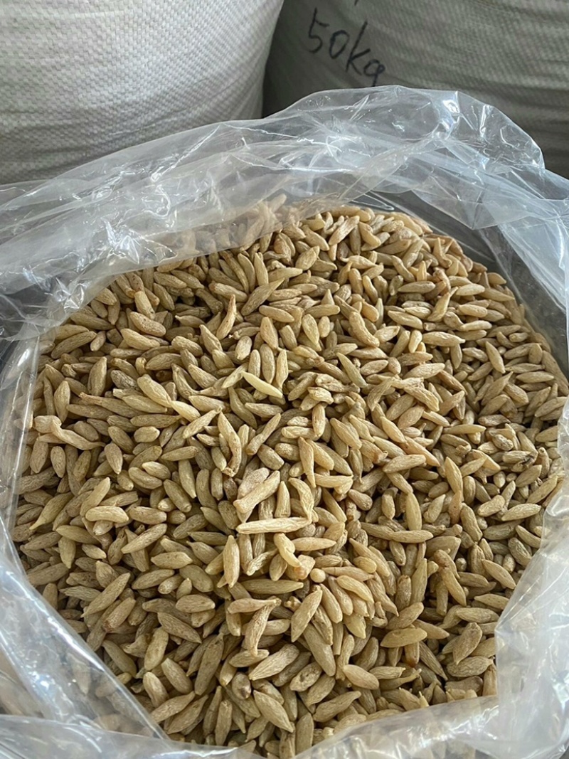 麦冬野生川麦冬正宗四川绵阳麦门冬精品野生麦冬无硫