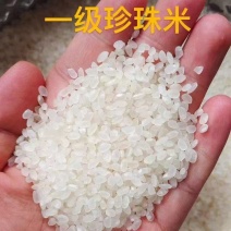 精品一级大米，珍珠米一手货源充足供应，诚信经营，量大从优
