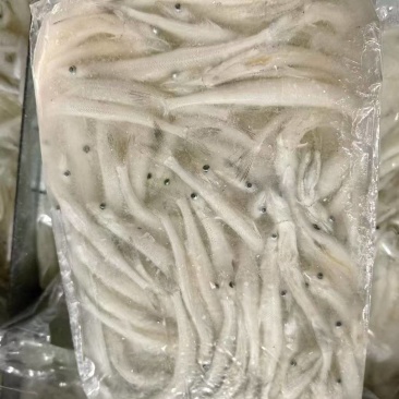 银鱼