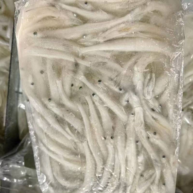 银鱼