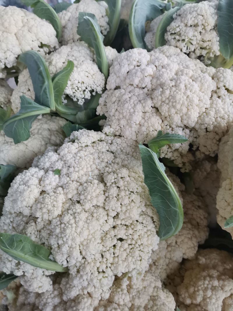 菜花徐州菜花大量上市，有需要的朋友联系