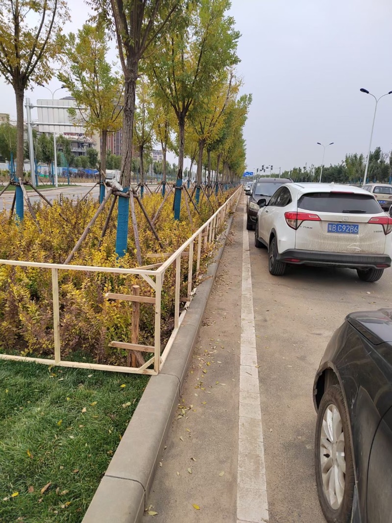 防寒布，无纺布，园林绿化防寒材料