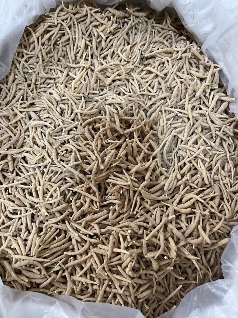 无硫太子参孩儿参童子身规格齐全一手货源批发零售