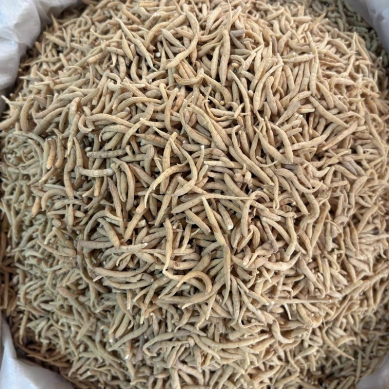 无硫太子参孩儿参童子身规格齐全一手货源批发零售