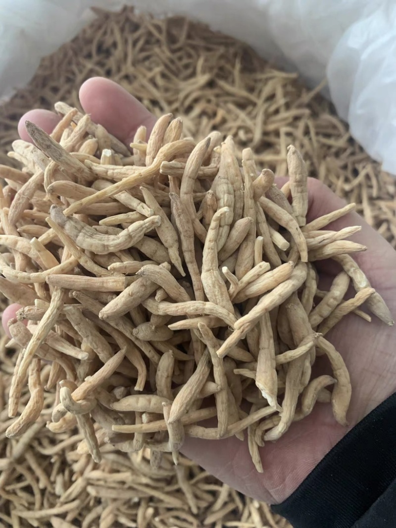无硫太子参孩儿参童子身规格齐全一手货源批发零售
