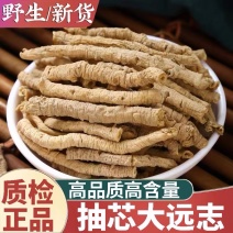 远志山西大同远志无硫熏抽芯远志规格齐全批发零售