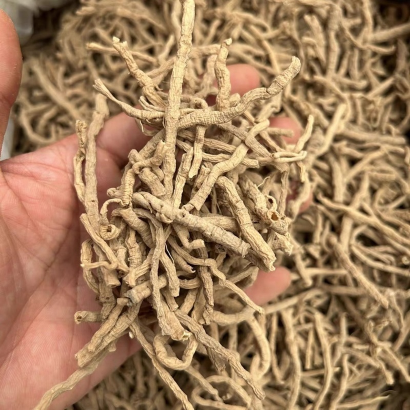 远志山西大同远志无硫熏抽芯远志规格齐全批发零售