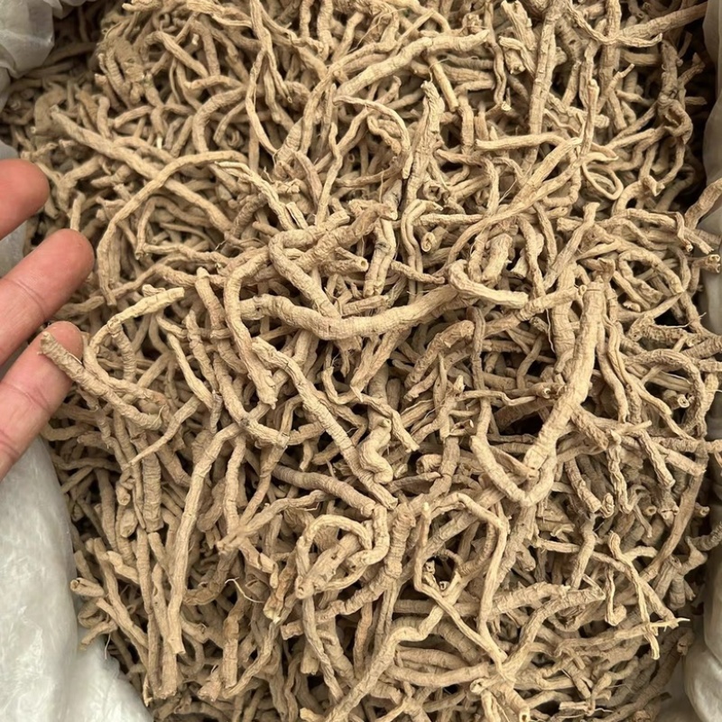 远志山西大同远志无硫熏抽芯远志规格齐全批发零售
