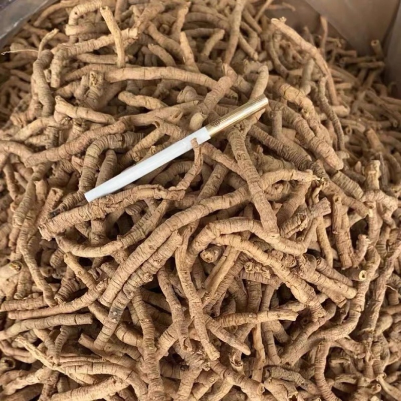 远志山西大同远志无硫熏抽芯远志规格齐全批发零售