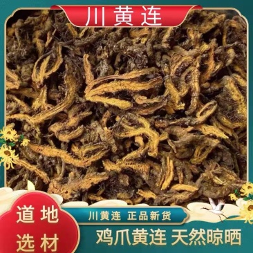 四川黄连鸡爪黄连单只黄连黄连片新货无硫规格齐全