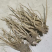 甘肃岷县新鲜当归自产自销无硫