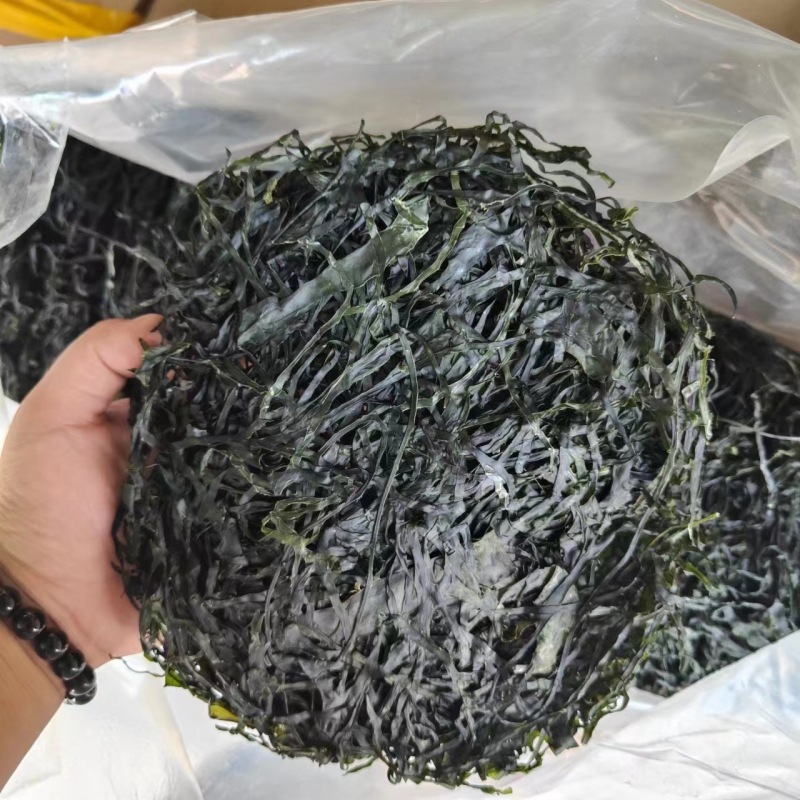 霞浦厂家烘干海带丝无沙海带丝干货散装高泡发赶集摆摊跑江湖