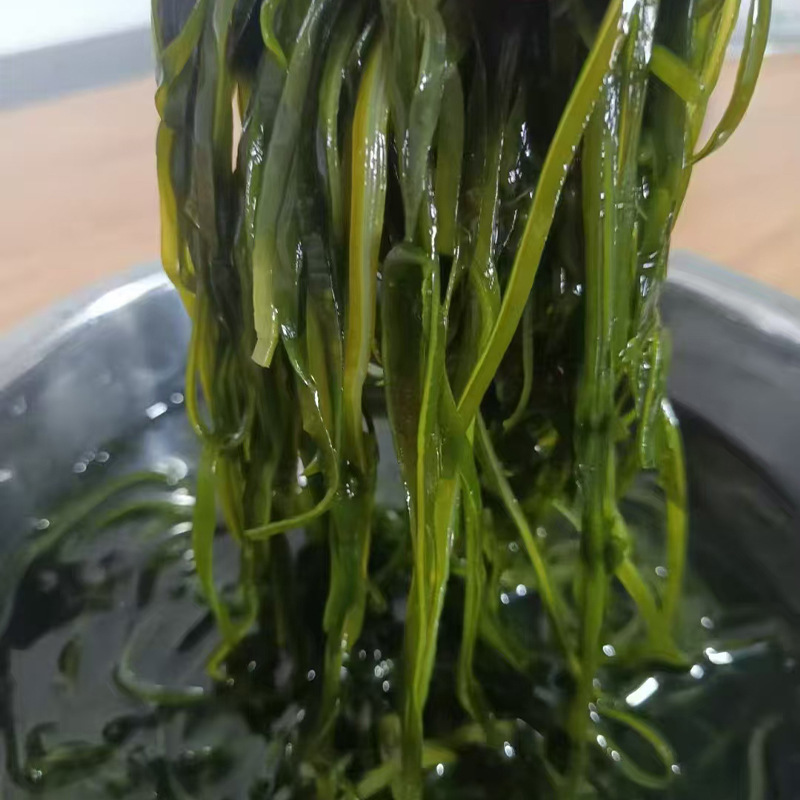霞浦厂家烘干海带丝无沙海带丝干货散装高泡发赶集摆摊跑江湖