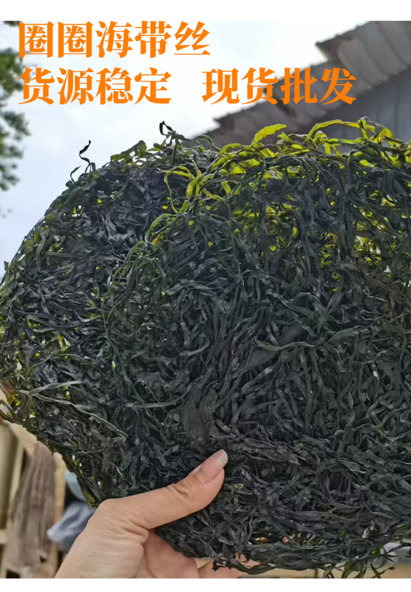 霞浦厂家烘干海带丝无沙海带丝干货散装高泡发赶集摆摊跑江湖
