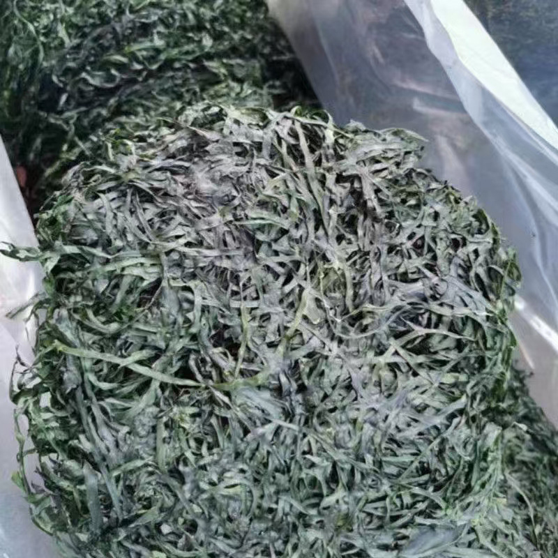 霞浦厂家烘干海带丝无沙海带丝干货散装高泡发赶集摆摊跑江湖