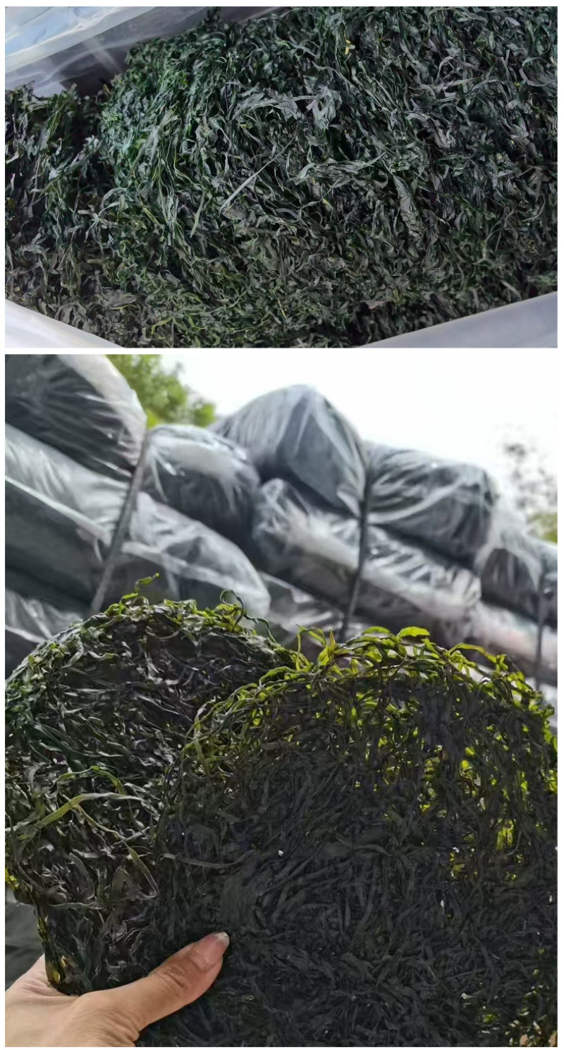 霞浦厂家烘干海带丝无沙海带丝干货散装高泡发赶集摆摊跑江湖