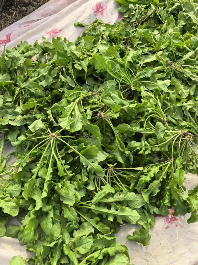团购已快递已加工厂