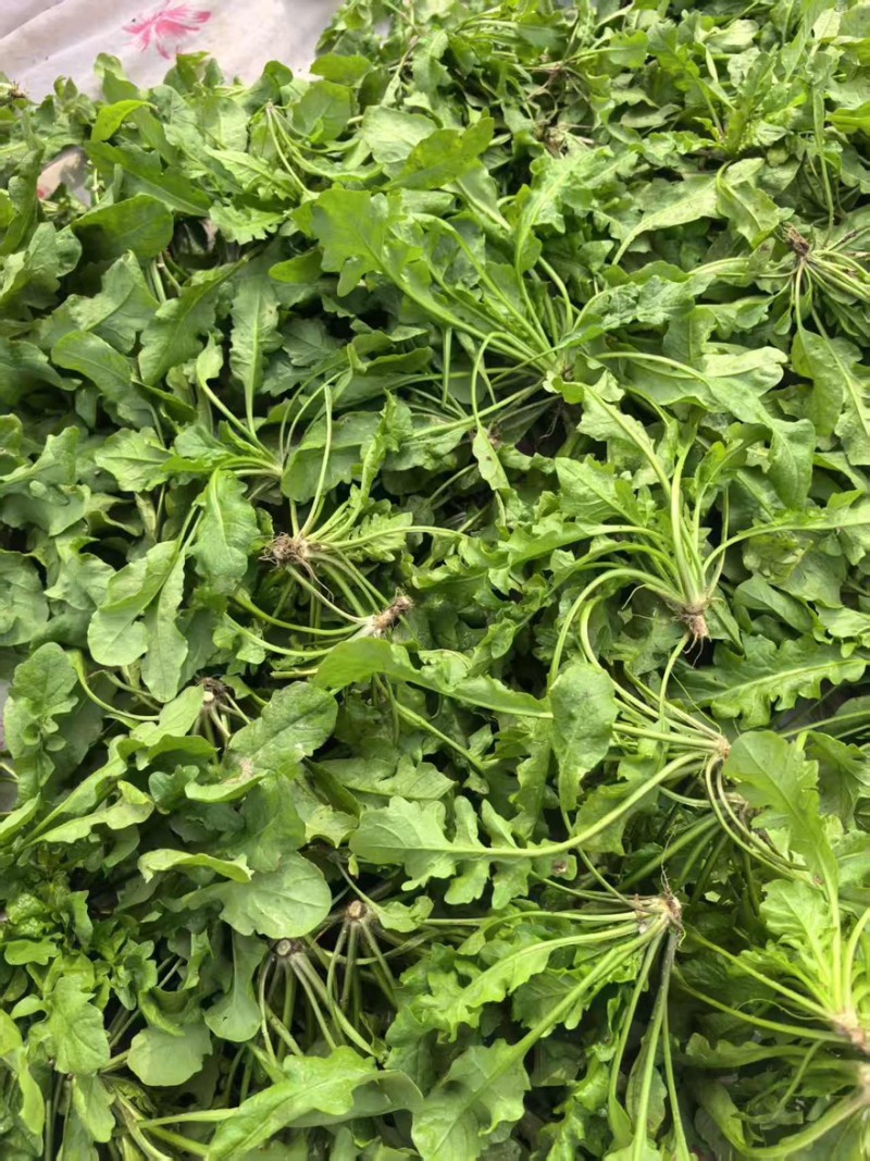 团购已快递已加工厂