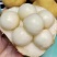 【电商代发】烟台冰激凌蜜香丑梨一件代发非中华丑梨源头直发