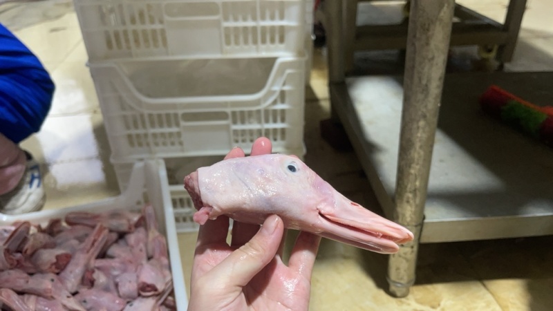 鸭头