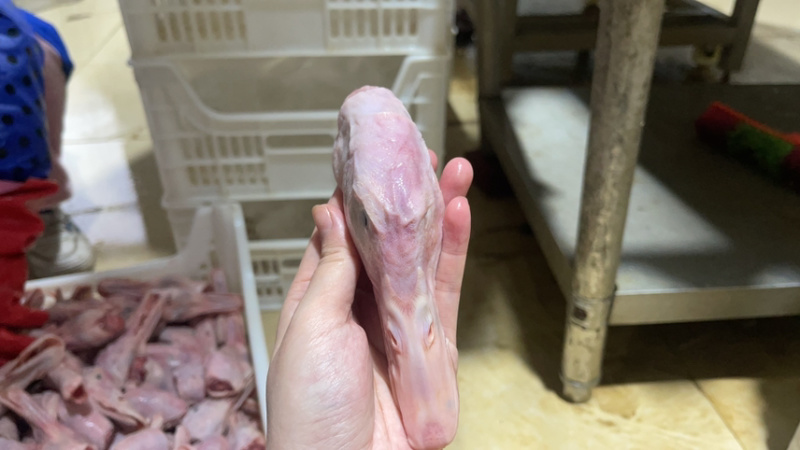 鸭头