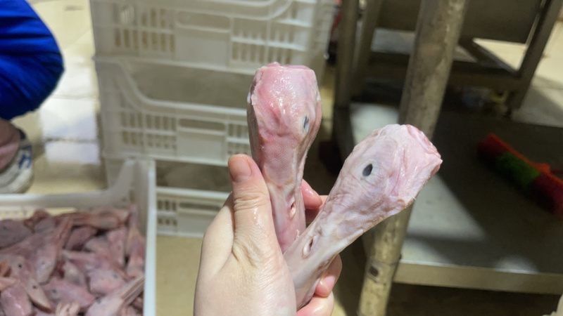 鸭头