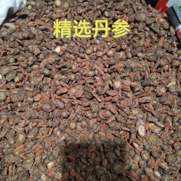 丹参中药材无硫精选紫丹参段片诚信经营康养斋中药材专营