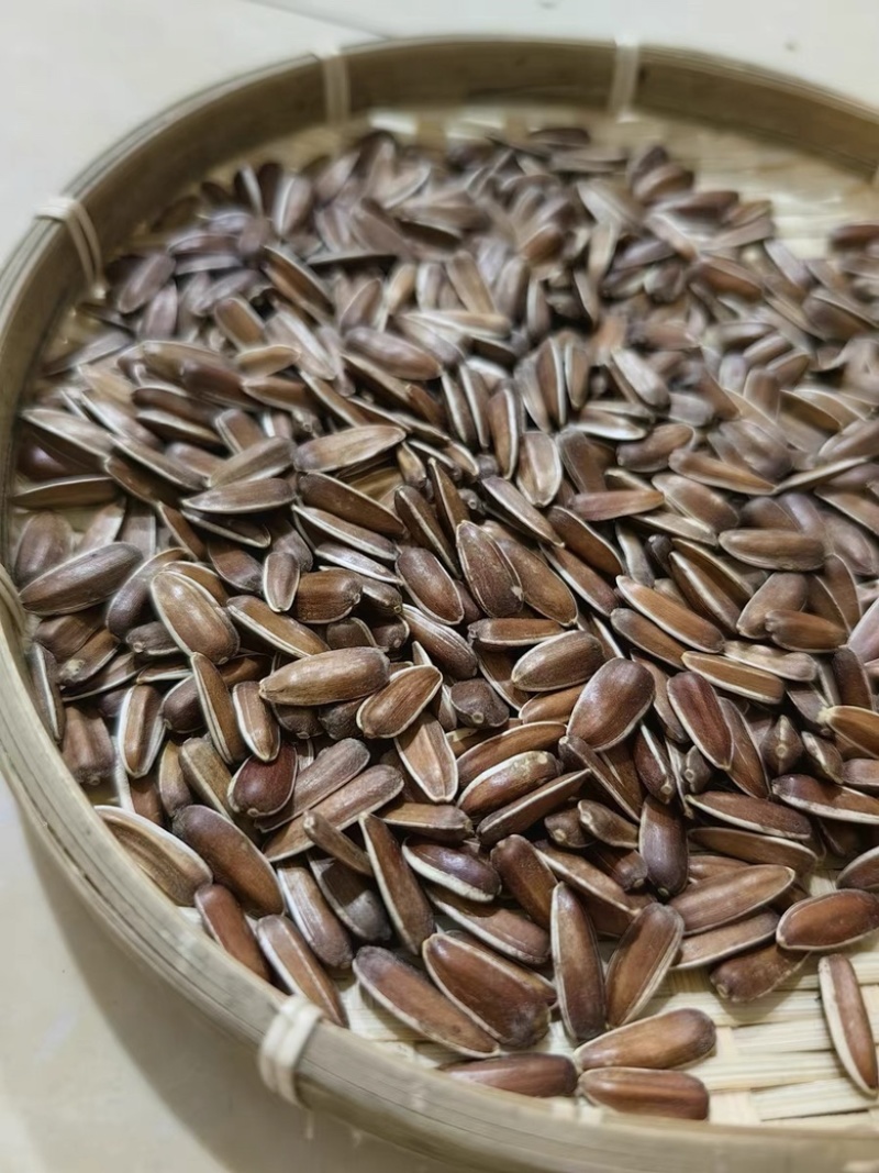 云南大理红瓜子皮薄肉厚香甜不上火