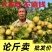 油甘果丙甜油甘甜种油甘产地直发量大价优支持包车顺风车