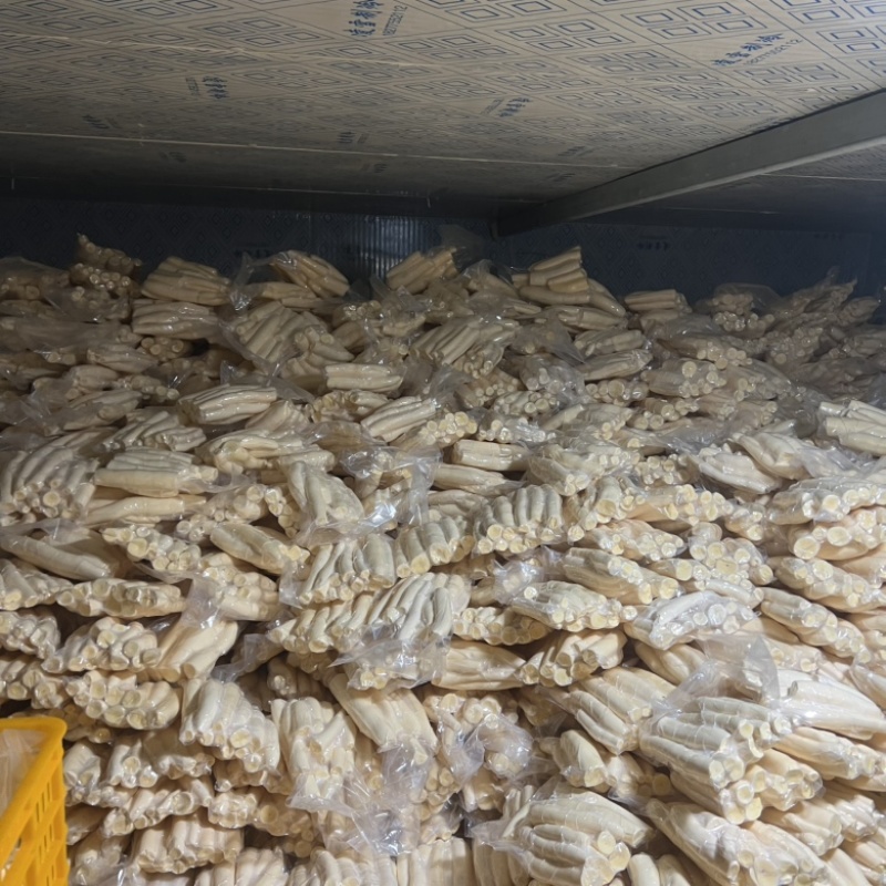 黄肉面包木薯