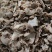 熟羊肉无水无油羊汤专用零售皆可河北沧州献县厂家直销
