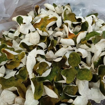 源产地正宗新会三江陈皮新皮陈皮药材用泡茶煲汤原材料