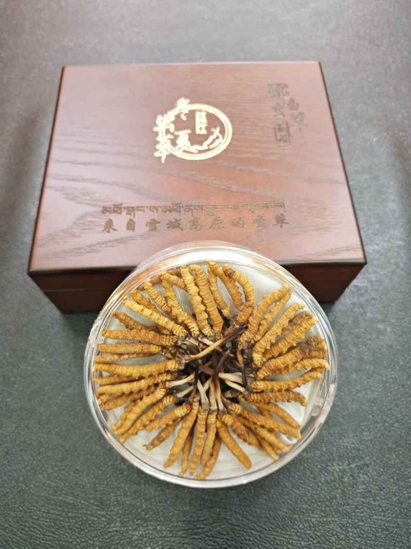 那曲虫草源头产地直供品质保证开箱验货货到满意付款