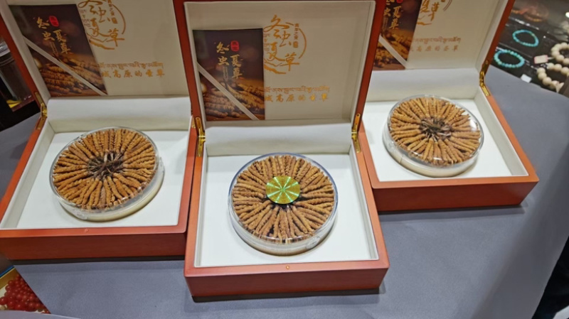那曲虫草源头产地直供品质保证开箱验货货到满意付款