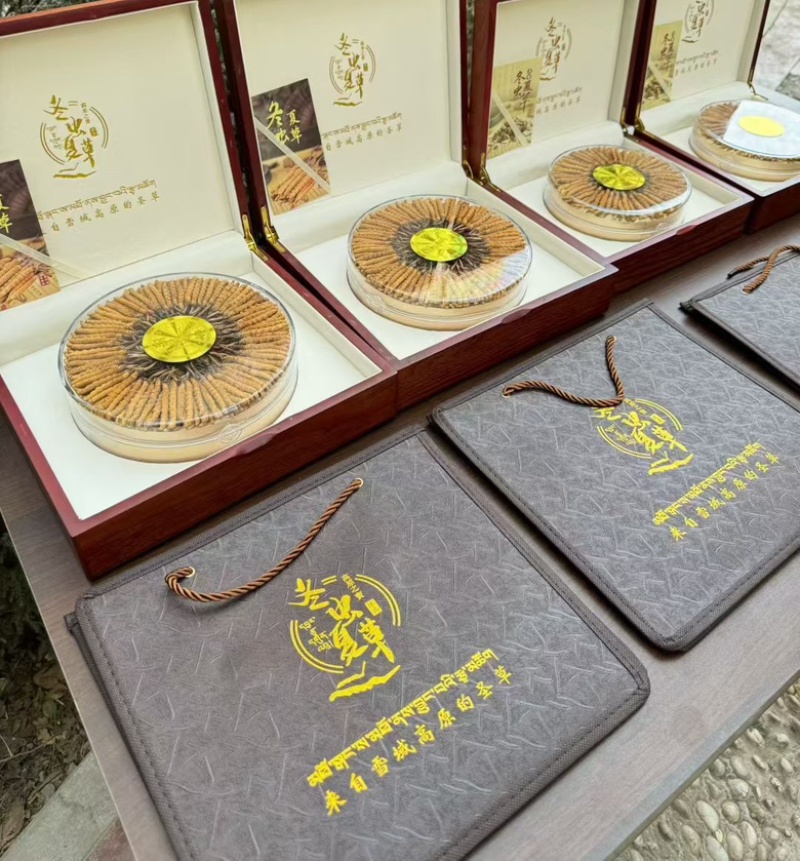 那曲虫草源头产地直供品质保证开箱验货货到满意付款