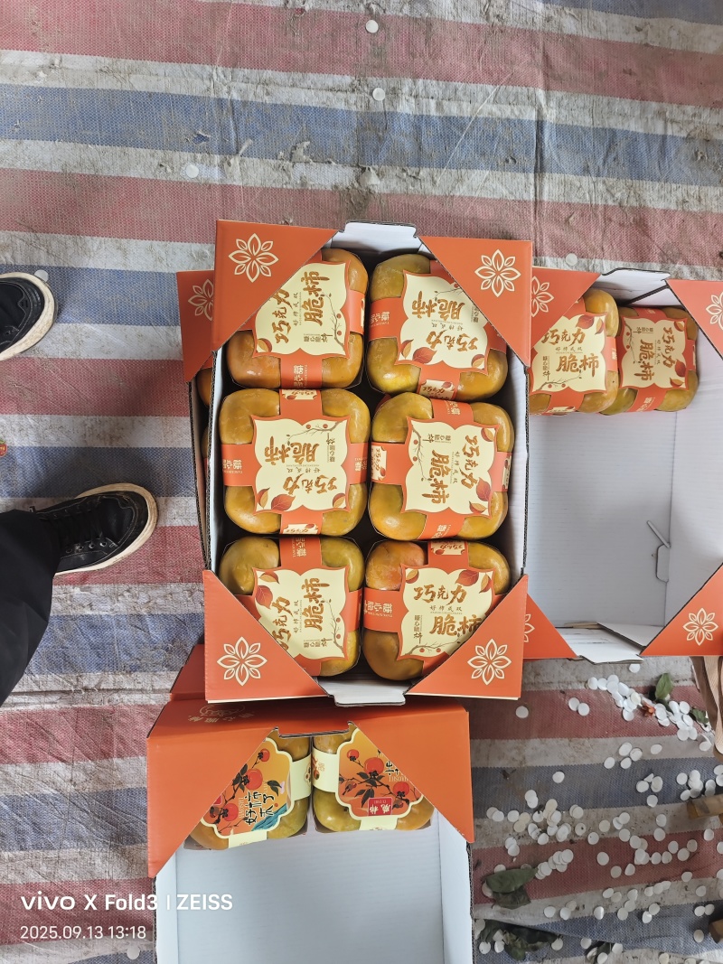 陕西巧克力脆柿大量供应，质量三包，代发全国，毛毛钱走车。