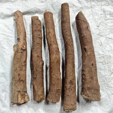 干木姜子根