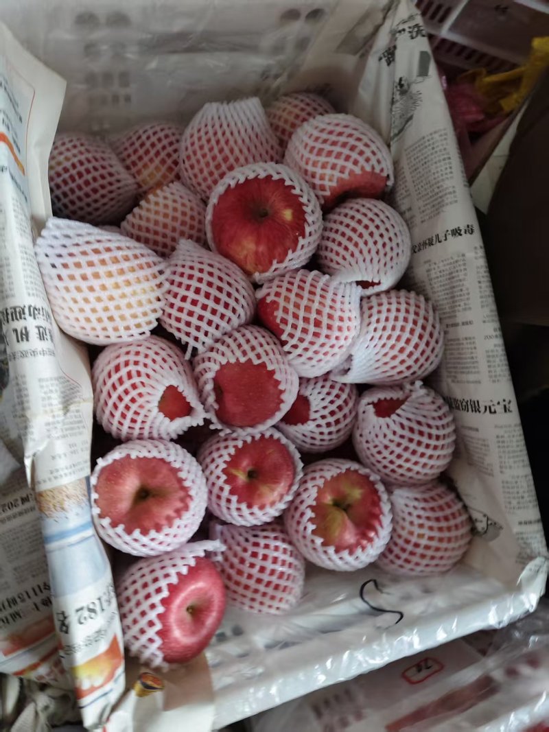 精选红富士苹果特大果冰糖心一件代发质量保证坏果包赔