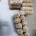 【熟羊杂】纯干的小肠卷