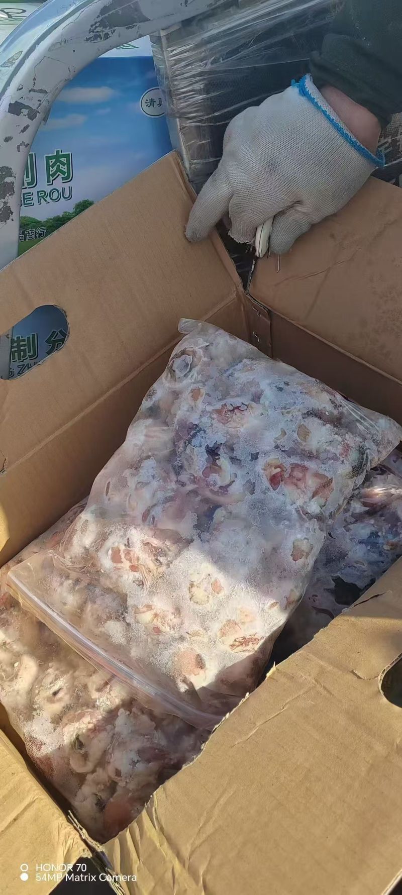 八成熟羊眼