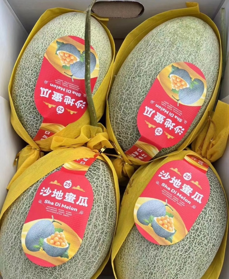 晓蜜25号哈密瓜当季水果规格齐全糖度高价格低
