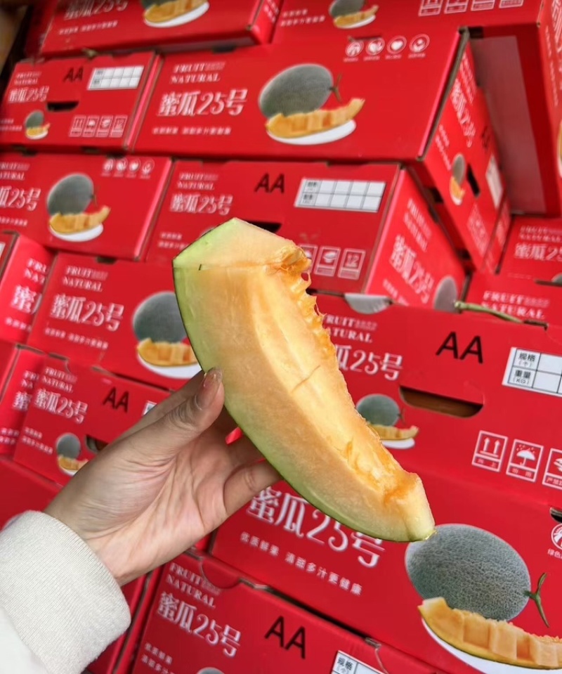 晓蜜25号哈密瓜当季水果规格齐全糖度高价格低