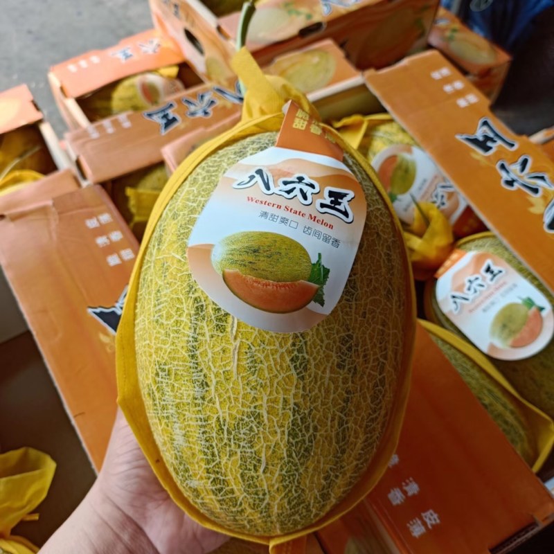 哈密瓜八六王海南八六王哈密瓜货源充足全国发货