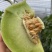 玉菇甜瓜海南玉菇甜瓜海量货源基地直发欢迎来电咨询